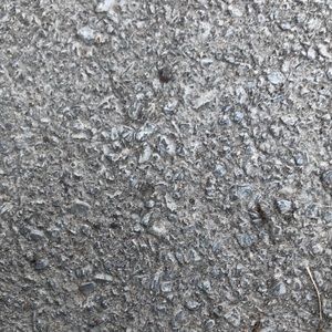 Meet your Posher, Jaden